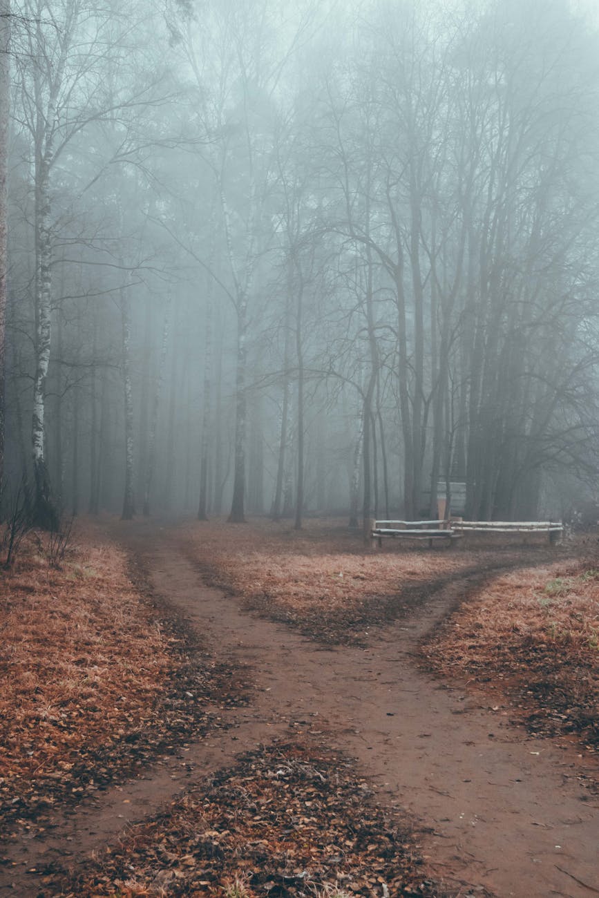 A Fork in the&nbsp;Road